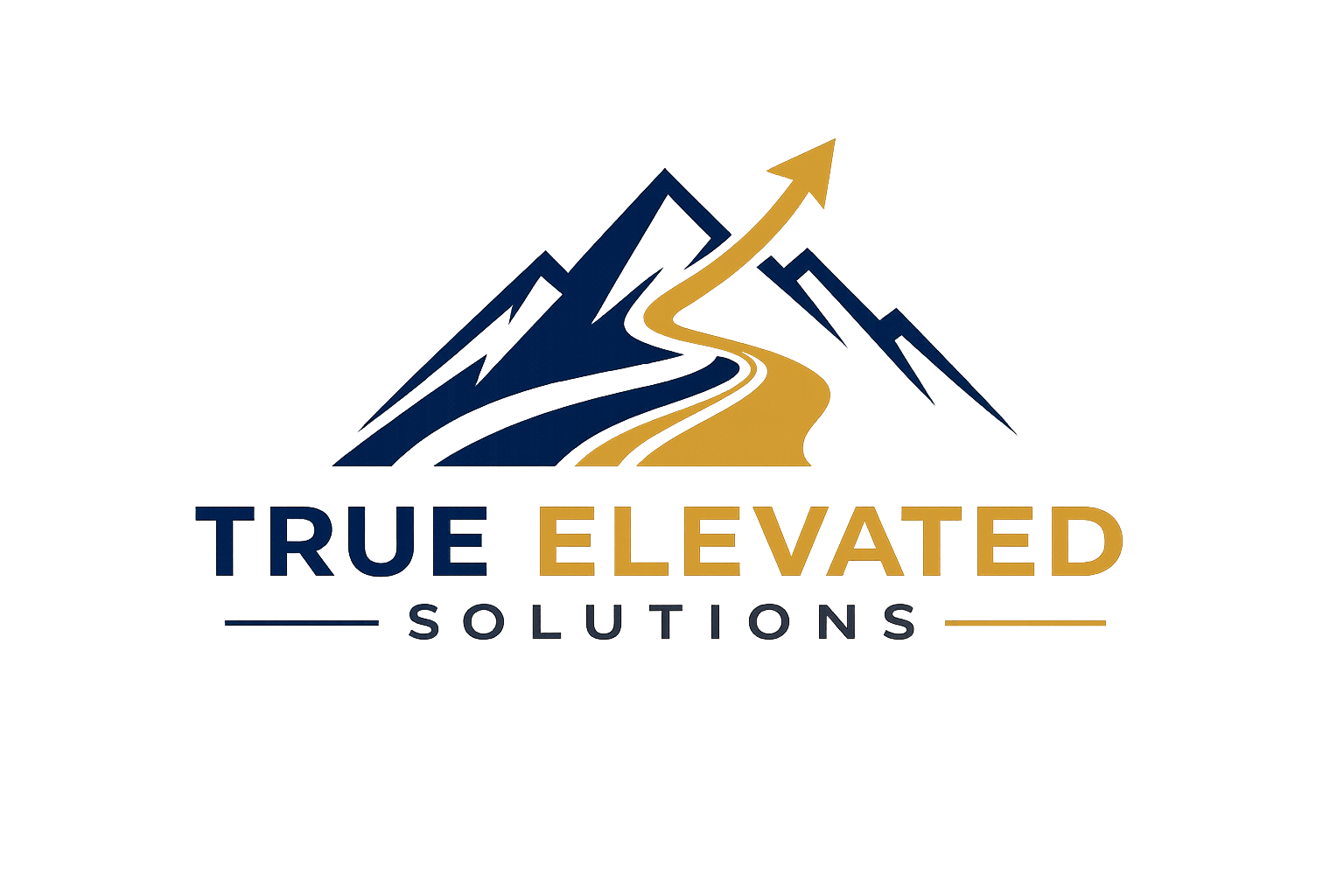 True Elevated Solutions LLC